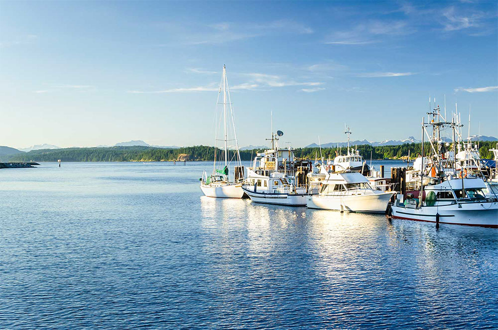 釣果情報：遊漁船